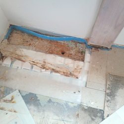 Wasserschaden und Pilzbefall